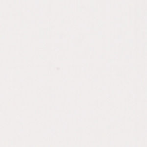 Meet your Posher, Nico